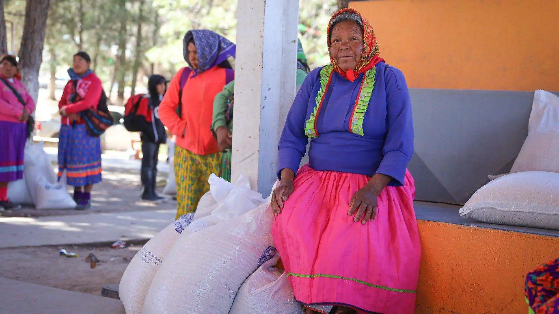 apoyos sierra tarahumara